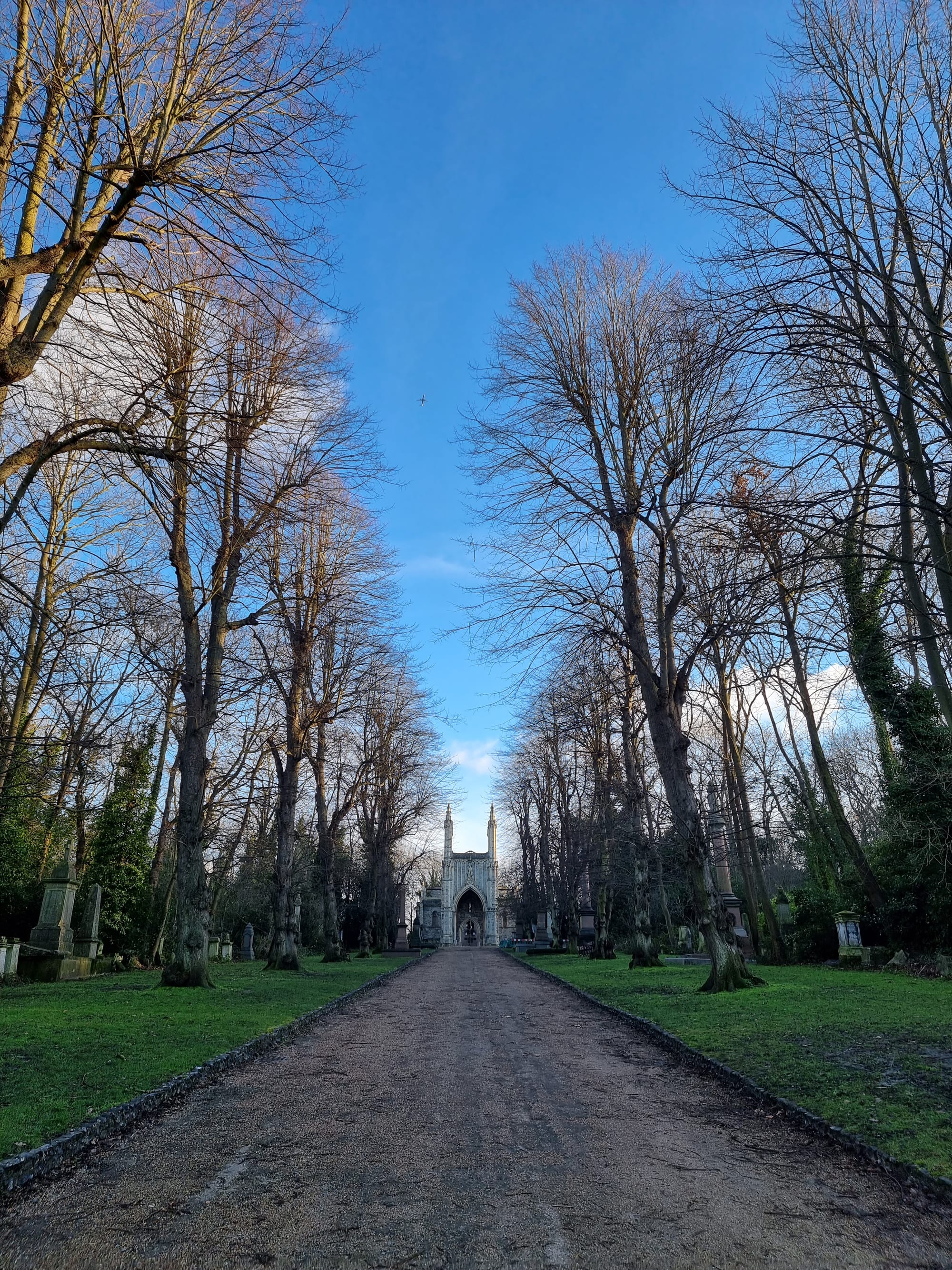 View up the main road of Nunhead Cemetery. In the centre, at the end of the road the ruin of a chapel, along the road green grass and trees