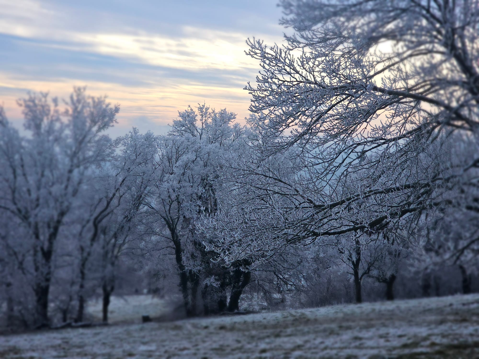 Frost-laden trees and ground, a colourful sky in the background. 