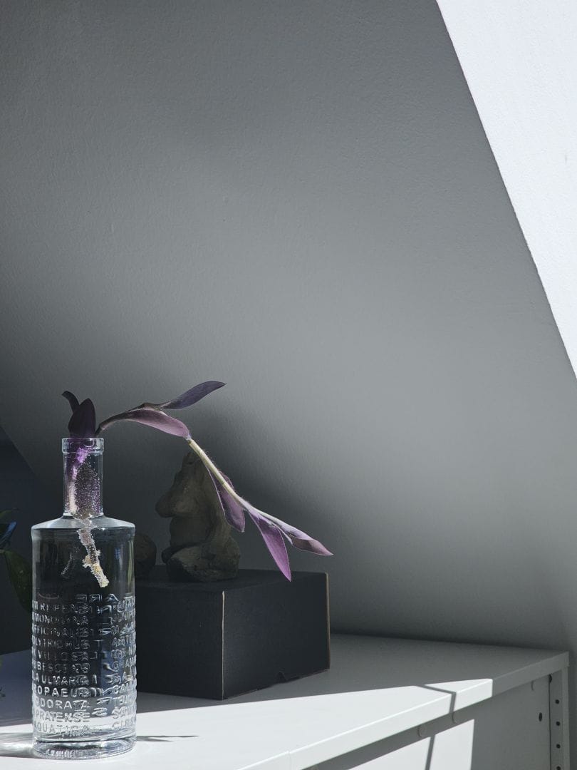 A glass bottle filled with water holds a single purple-leafed cutting, its roots visible inside the bottle. The bottle, embossed with text, sits on a white shelf beside a dark box and a small sculpture, with sunlight streaming in from a slanted window.