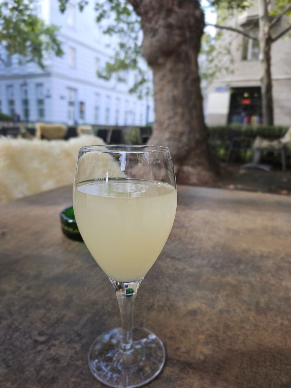 A glass of Sturm on a table. In the background a large tree.