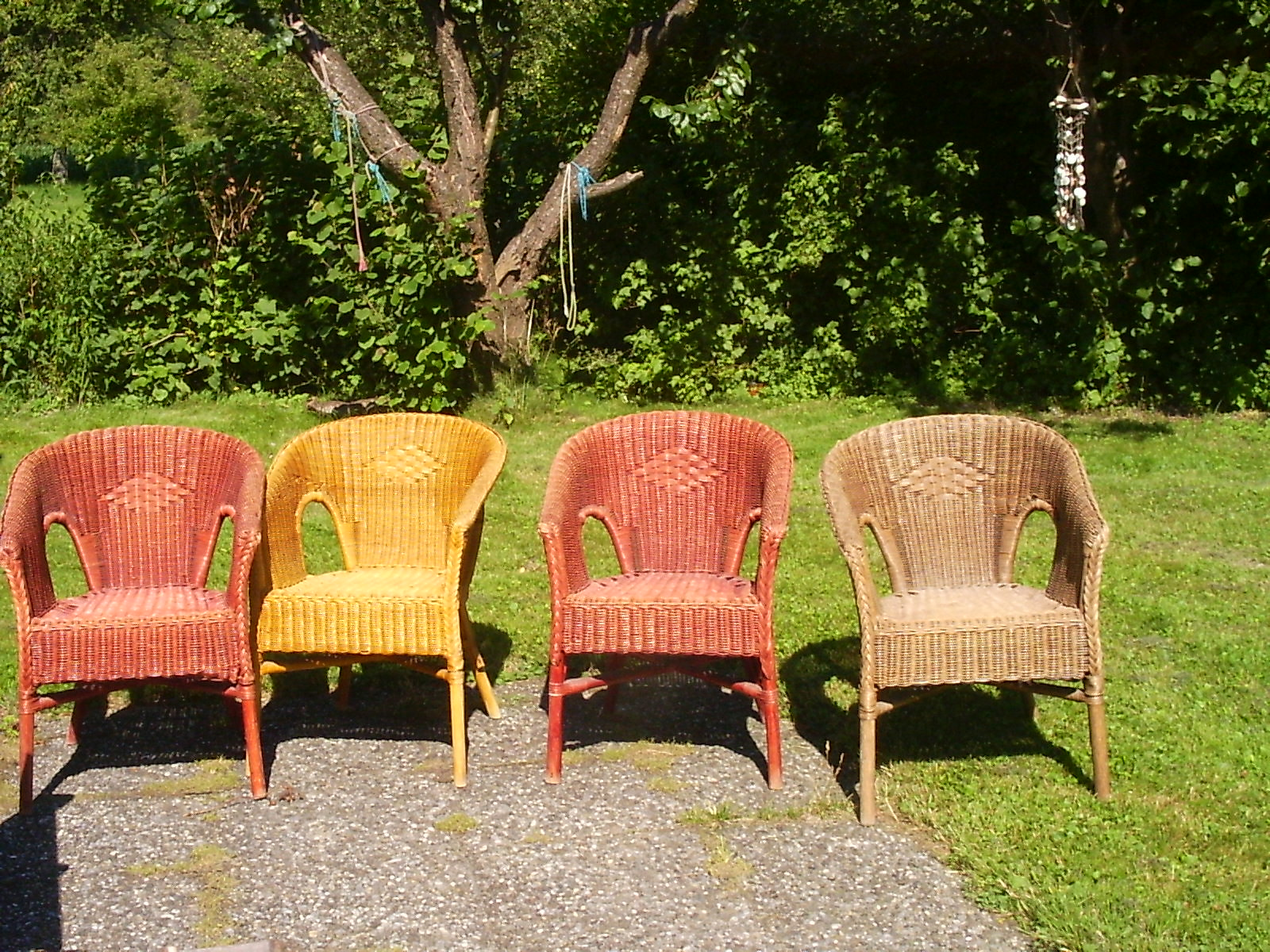 Screenshot 2025-12-10 at 23-10-46 In the garden Sometimes I need to take pretty pictures es… Flickr.png