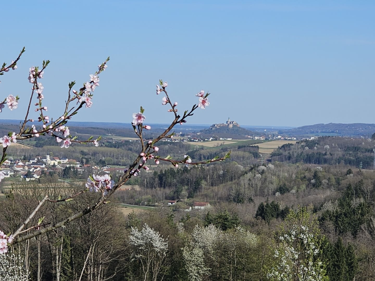 A scenic landscape view of BURG GÜSSING perched on a hill in the distance, framed by blossoming tree branches with light pink flowers in the foreground. Below the castle, a small village and rolling green hills stretch across the horizon under a clear blue sky.