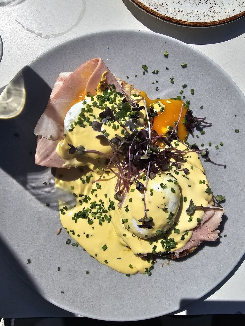 Eggs Benedikt, on a grey plate, in sunshine.