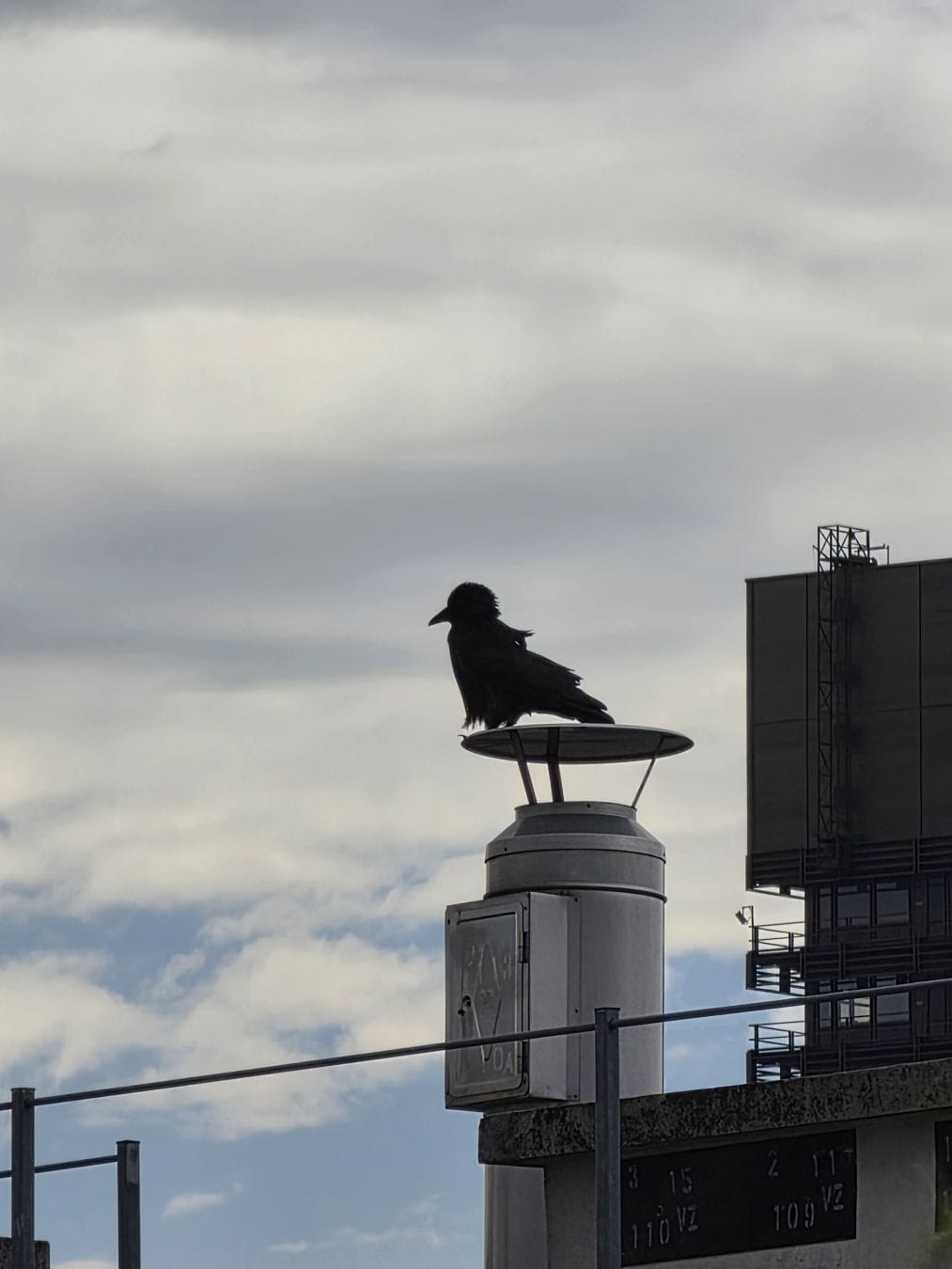 A black bird with slightly ruffled feathers perched upon a chimney, against a mostly grey, cloudy sky and parts of buildings.