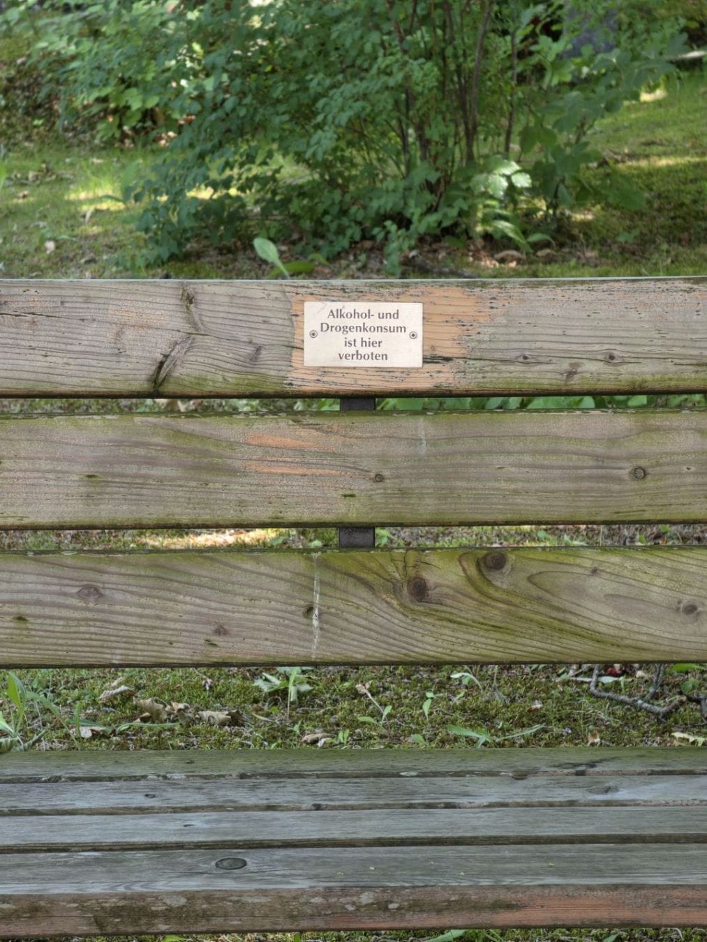 A sign on a wooden bench reads “Alkohol- und Drogenkonsum ist hier verboten,” meaning alcohol and drug use are prohibited here.