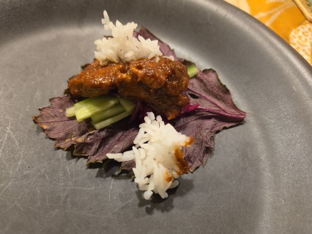 Bulgogi with white rice and cucumber arranged on purple leaves on a dark plate.