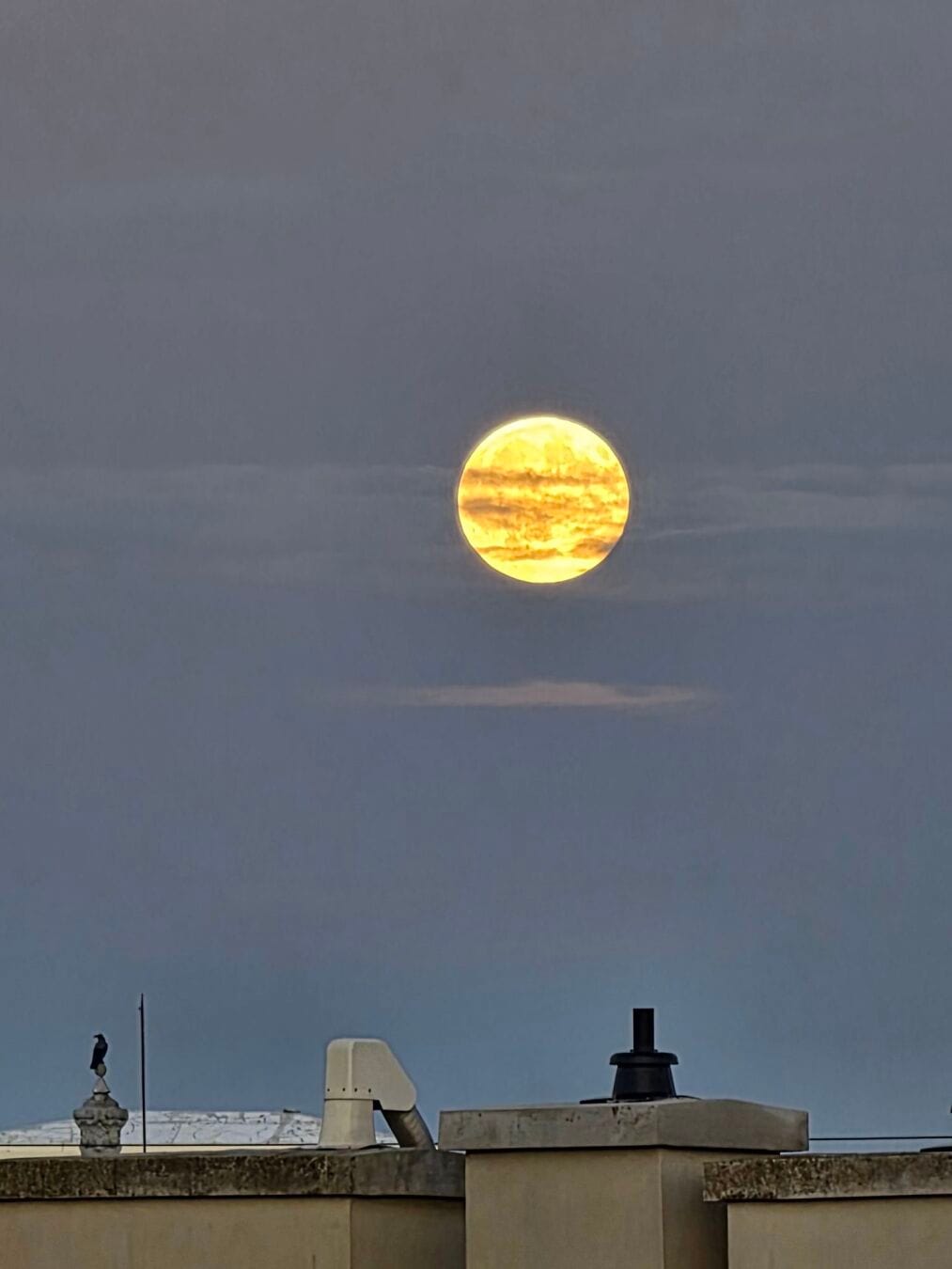A golden moon crossed by thin clouds above city rooftops, with a bird perched on a finial.