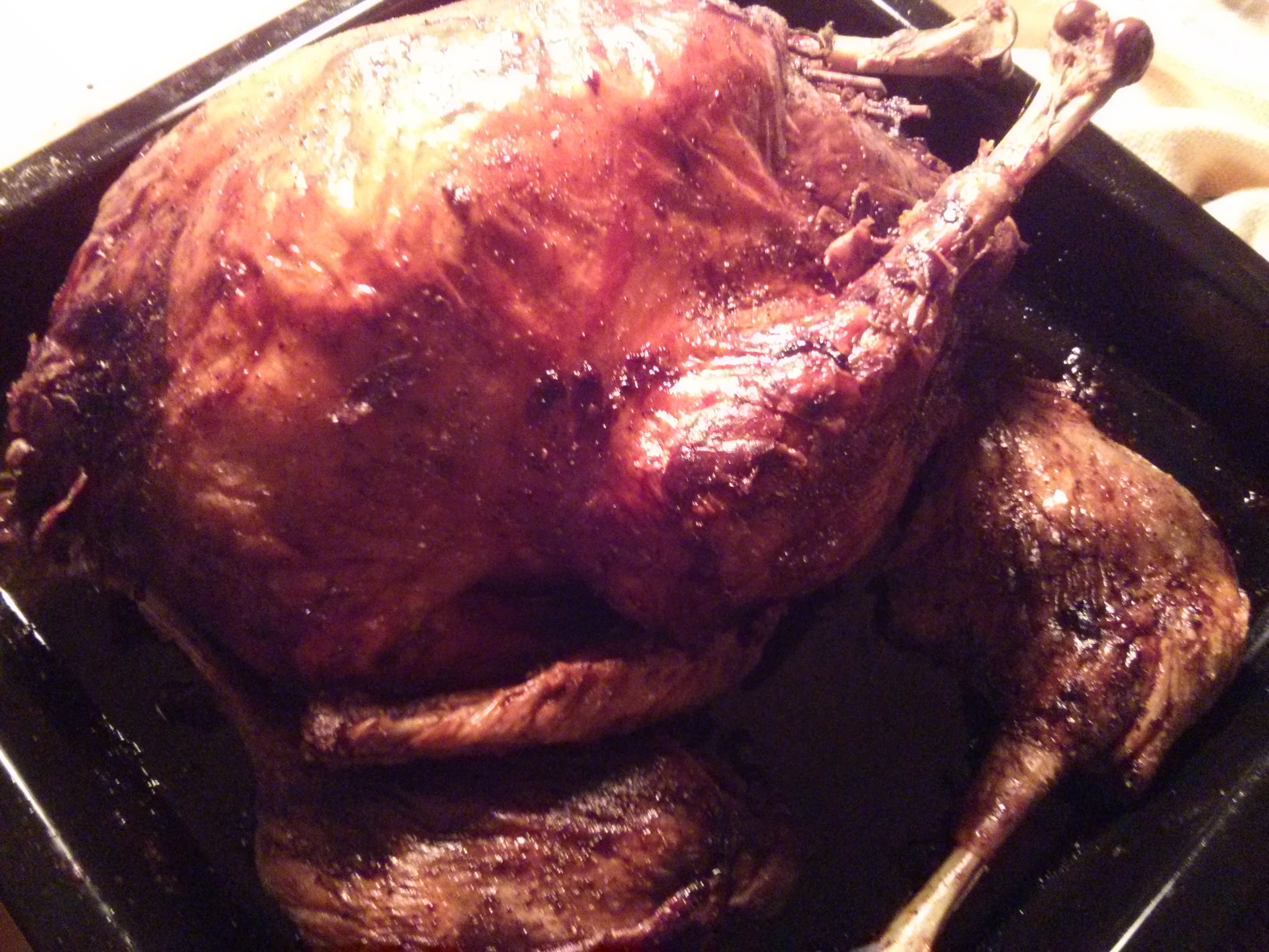 Turkeys gone wild